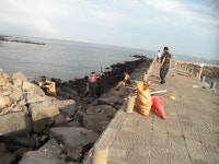 태풍 무이파 지가간 후 해안가 자연정활동 실시 - 동부소방서 제주특별자치도