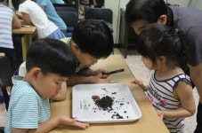 포토갤러리 - 제주특별자치도민속자연사박물관 제주특별자치도