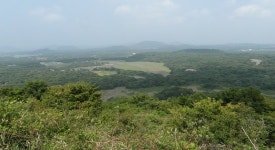 큰지그리에서 - 교래자연휴양림 큰지그리에서 | 제주특별자치도청