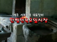 축제/공연/행사 - 제주ON  [제주ON] 한림민속오일시장