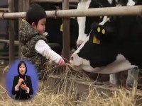 마을/기업탐방 - 제주ON  [제주ON] (수화)지헌목장