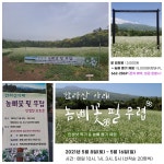 절망을 딛고 피어로른 하얀꽃, 하례2리 놈삐꽃 축제 알림 - 제주의 마을 남원읍 하례2리