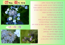 산에는 꽃이 피네 - 한라산국립공원 산에는 꽃이 피네 | 제주특별자치도청