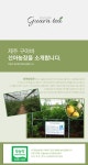[선아농장] 제주 무농약 구아바차 티백(10.5gx1) - 예스24