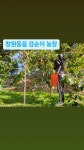 직거래닷컴