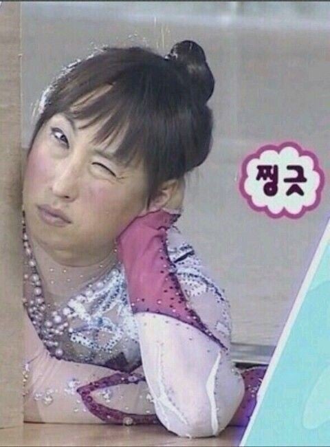 프롬데이지 이미지