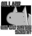 진돌 황당 시발 이게 정녕 21세기의 인간인가 - 상황별 짤방 모음 오늘의짤방