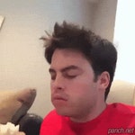 혼자먹냐? 강아지 표정 주인 째려보는 시베리안 허슥키 허숙희 눈빛 - 상황별 짤방 모음 오늘의짤방