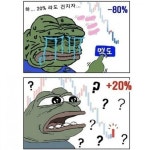 비트코인 개구리 슬개짤 슬픈 코인 주식 페페 떡락 떡상 개미털기 손절 매도 후회 - 상황별 짤방 모음 오늘의짤방