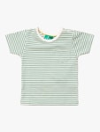 Little Green Radicals Baby Organic Cotton Striped Short Sleeve T-Shirt, Algate Green at John Lewis & Partners Little Green... 