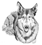 G-005 by gatomontes2 < Submission | Inkbunny, the Furry Art Community