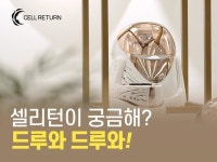 에스티지 24 2023년 하반기 채용 | 2건의 복지정보 0 전체 복지 통계 | 잡플래닛 잡플래닛 - Jobplanet