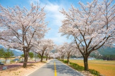 사진으로 보는 정선 | 정선군청 > 열린군정 > 참여소통 > 사진으로보는정선 > 사진으로 보는 정선