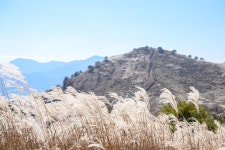 사진으로 보는 정선 | 정선군청 > 열린군정 > 참여소통 > 사진으로보는정선 > 사진으로 보는 정선
