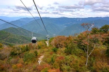 사진으로 보는 정선 | 정선군청 > 열린군정 > 참여소통 > 사진으로보는정선 > 사진으로 보는 정선