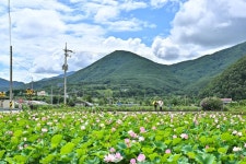 사진으로 보는 정선 | 정선군청 > 열린군정 > 참여소통 > 사진으로보는정선 > 사진으로 보는 정선