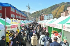 사진으로 보는 정선 | 정선군청 > 열린군정 > 참여소통 > 사진으로보는정선 > 사진으로 보는 정선