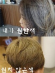 염색의 기본 3원색 미용커플 미용정보 염색의 기본 3원색
