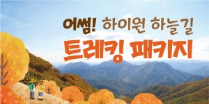하늘숲길 힐링 트레킹 패키지 | 하이원리조트 하늘숲길 힐링 트레킹 패키지