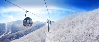 스키장 시설/리프트/웹캠 시설 상세보기 | 하이원 리조트