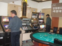 강원랜드, 지역 카지노학과와의 아름다운 동행 상세 보기 | 하이원 리조트