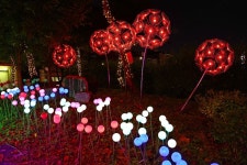 남동 빛의 거리 | 지역축제 | 대한민국 구석구석 축제