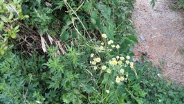 [전북,닥터구리] 160707-15 익산시 어양동 : 어린이과학동아&어린이수학동아