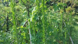 [전북,닥터구리] 160730-21 익산시 영등동 : 어린이과학동아&어린이수학동아 [전북,닥터구리] 160730-21  익산시 영등동 : 어린이과학동아... 