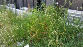 [전북,닥터구리] 160808-15 익산시 어양동 : 어린이과학동아&어린이수학동아