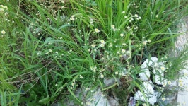 [전북,닥터구리] 160808-15 익산시 어양동 : 어린이과학동아&어린이수학동아