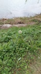 [경기양주,알쏭달쏭자연] 161023-1 : 어린이과학동아&어린이수학동아