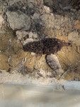 경기도 안성시[은빛구름 170423] : 어린이과학동아&어린이수학동아