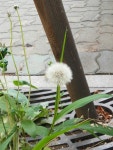 서울광진구청개골170608-3 : 어린이과학동아&어린이수학동아