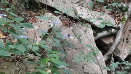 자연사랑박브르 - 180714 - 1 : 어린이과학동아&어린이수학동아