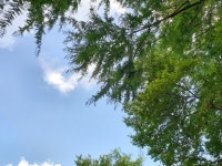 지구행복팀 - 190802 - 1 : 어린이과학동아&어린이수학동아