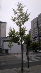 기연 - 200502 - 7 : 어린이과학동아&어린이수학동아