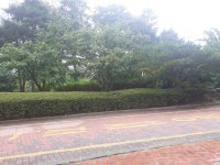 밤톨탐험대 - 200710 - 1 : 어린이과학동아&어린이수학동아