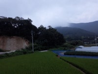 밤톨탐험대 - 200822 - 2 : 어린이과학동아&어린이수학동아