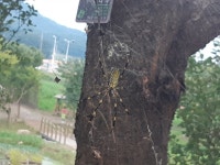 임형제가족 - 210828 - 7 : 어린이과학동아&어린이수학동아