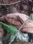 홍신 - 210924 - 1 : 어린이과학동아&어린이수학동아