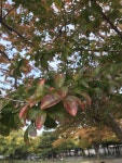 플라잉망고 - 211024 - 6 : 어린이과학동아&어린이수학동아