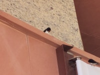 제주자연사랑 - 220509 - 1 : 어린이과학동아&어린이수학동아