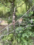 자연사랑박브르 - 220619 - 1 : 어린이과학동아&어린이수학동아
