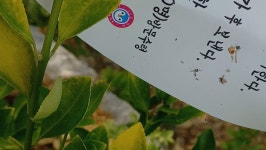 : 어린이과학동아&어린이수학동아  : 어린이과학동아&어린이수학동아