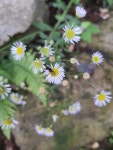 온새미로 - 220716 - 1 : 어린이과학동아&어린이수학동아