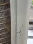 별 - 220707 - 4 : 어린이과학동아&어린이수학동아
