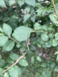 별 - 220823 - 1 : 어린이과학동아&어린이수학동아