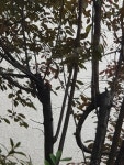 Animal - 221015 - 2 : 어린이과학동아&어린이수학동아