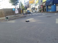 익산 사거리에서 줍깅!1 : 어린이과학동아 어린이과학동아&어린이수학동아