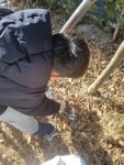 아파트 단지에서 집앞 수목원 산책길까지 : 어린이과학동아 어린이과학동아&어린이수학동아